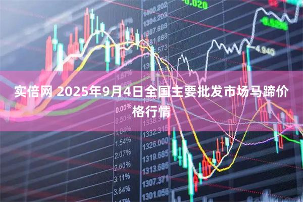 实倍网 2025年9月4日全国主要批发市场马蹄价格行情