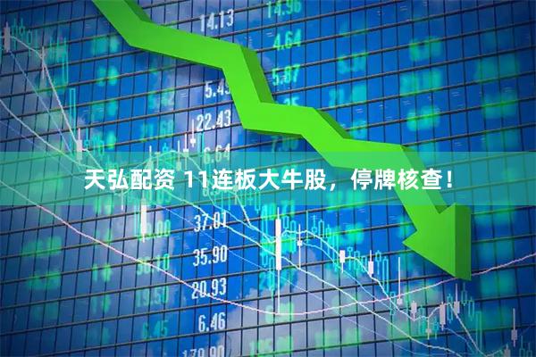 天弘配资 11连板大牛股，停牌核查！