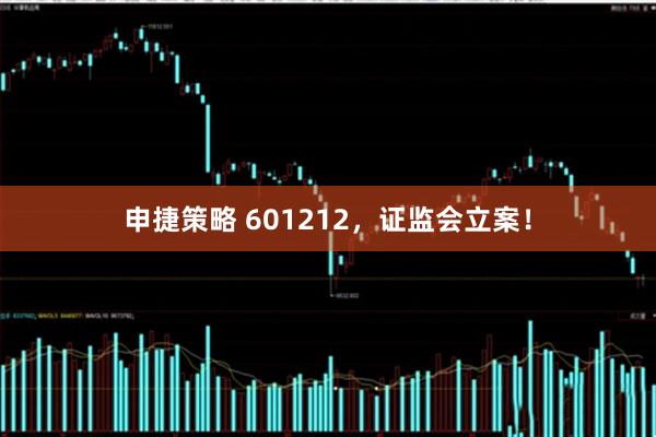 申捷策略 601212，证监会立案！