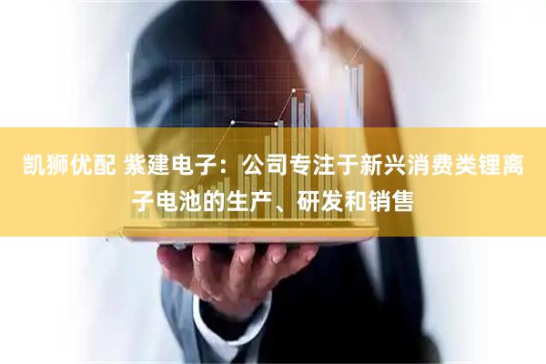 凯狮优配 紫建电子：公司专注于新兴消费类锂离子电池的生产、研发和销售
