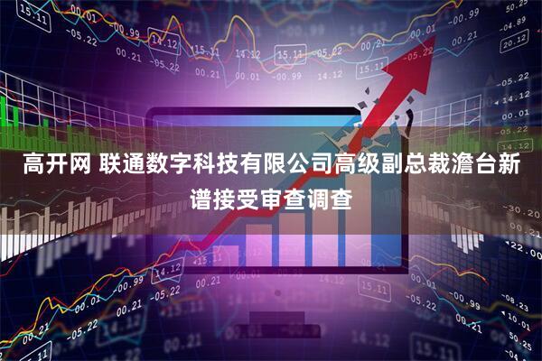 高开网 联通数字科技有限公司高级副总裁澹台新谱接受审查调查