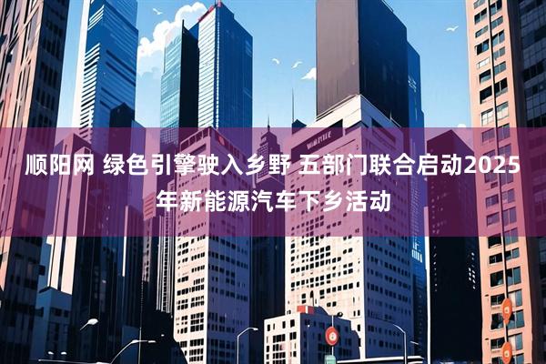 顺阳网 绿色引擎驶入乡野 五部门联合启动2025年新能源汽车下乡活动
