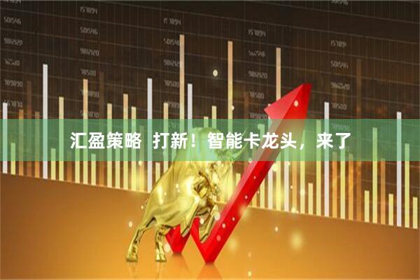汇盈策略  打新！智能卡龙头，来了