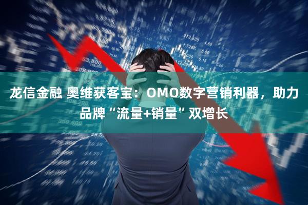 龙信金融 奥维获客宝：OMO数字营销利器，助力品牌“流量+销量”双增长