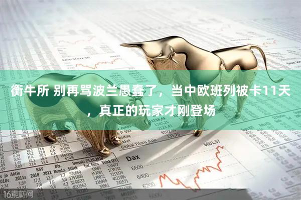 衡牛所 别再骂波兰愚蠢了，当中欧班列被卡11天，真正的玩家才刚登场