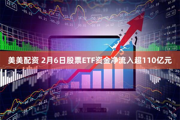 美美配资 2月6日股票ETF资金净流入超110亿元